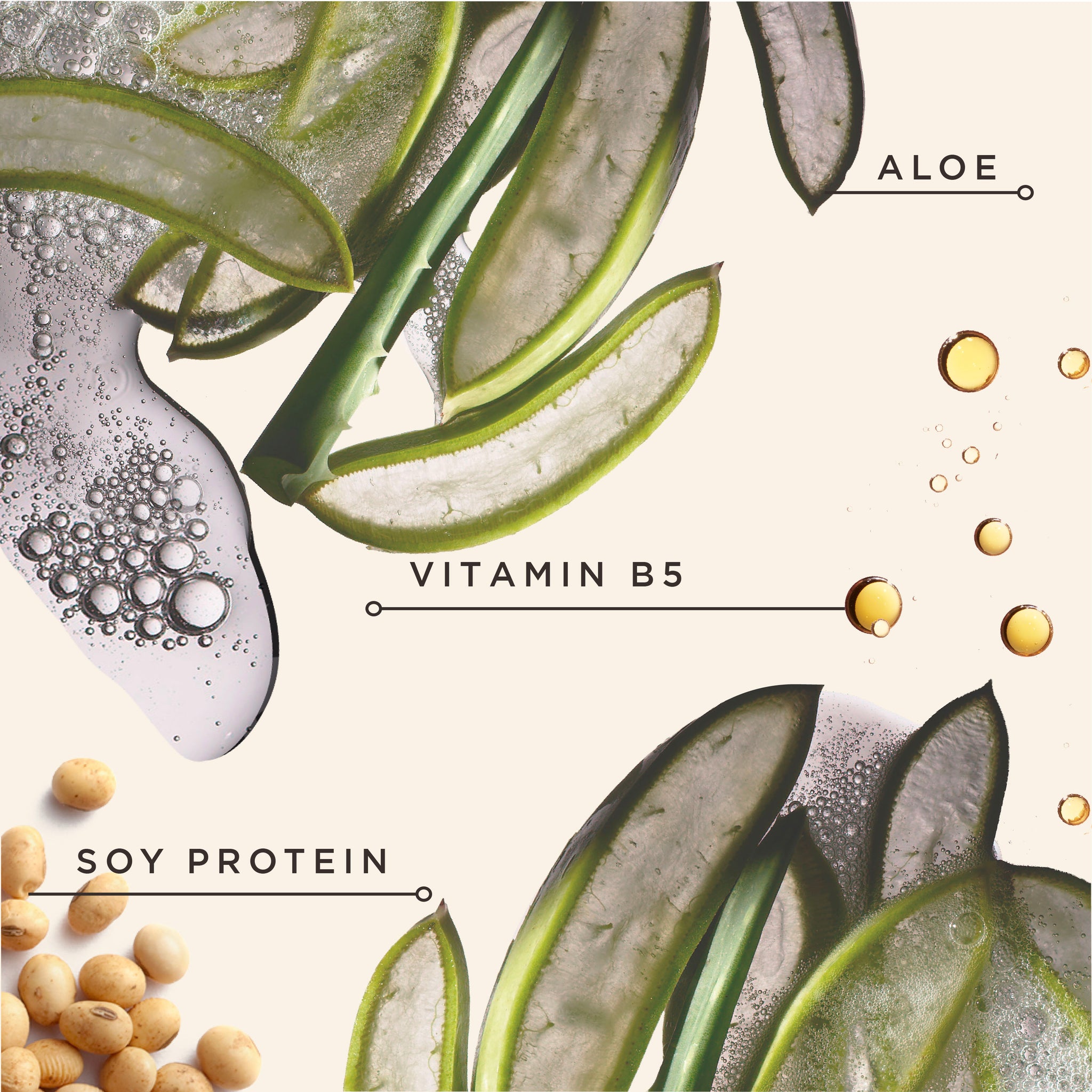 Black Vanilla Moisture & Shine Leave-In Conditioner