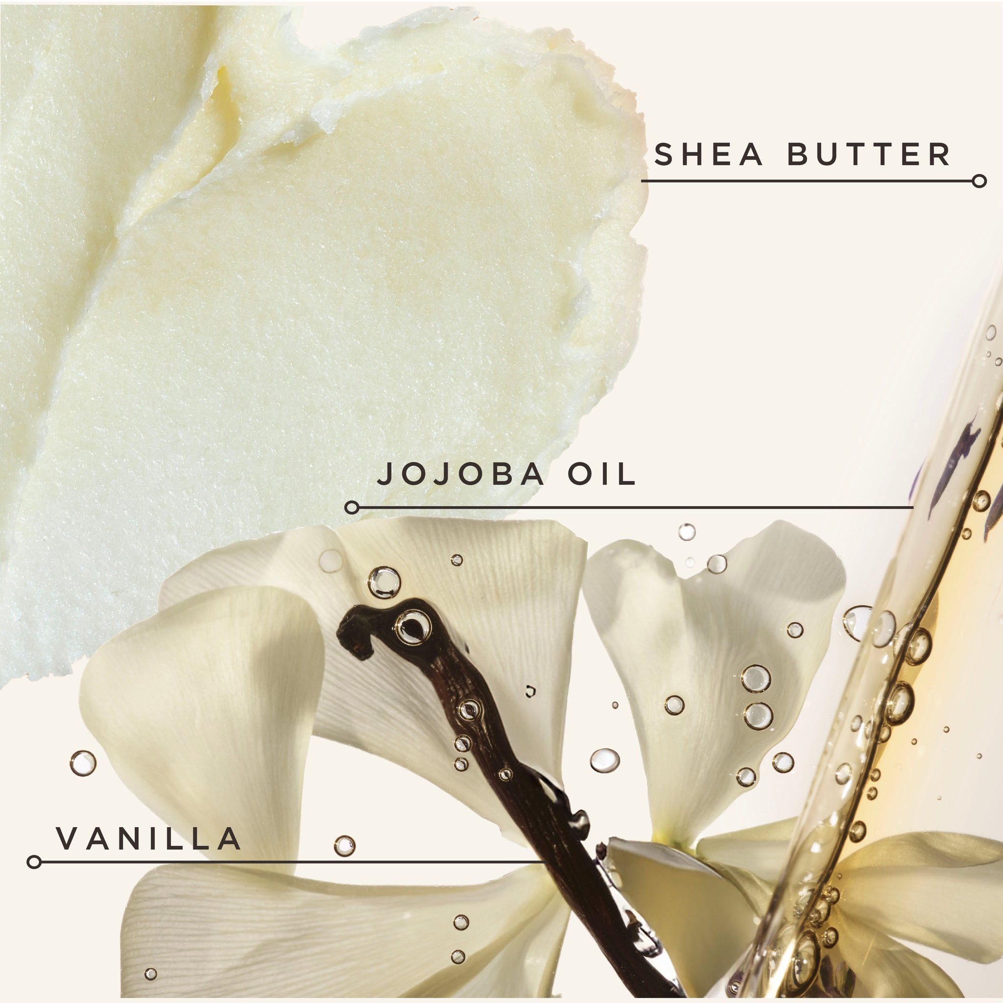 Black Vanilla Moisture & Hold Jelly