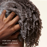 Black Vanilla Moisture & Shine Sulfate Free Shampoo