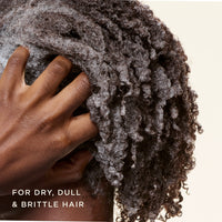 Black Vanilla Moisture & Shine Sulfate Free Shampoo