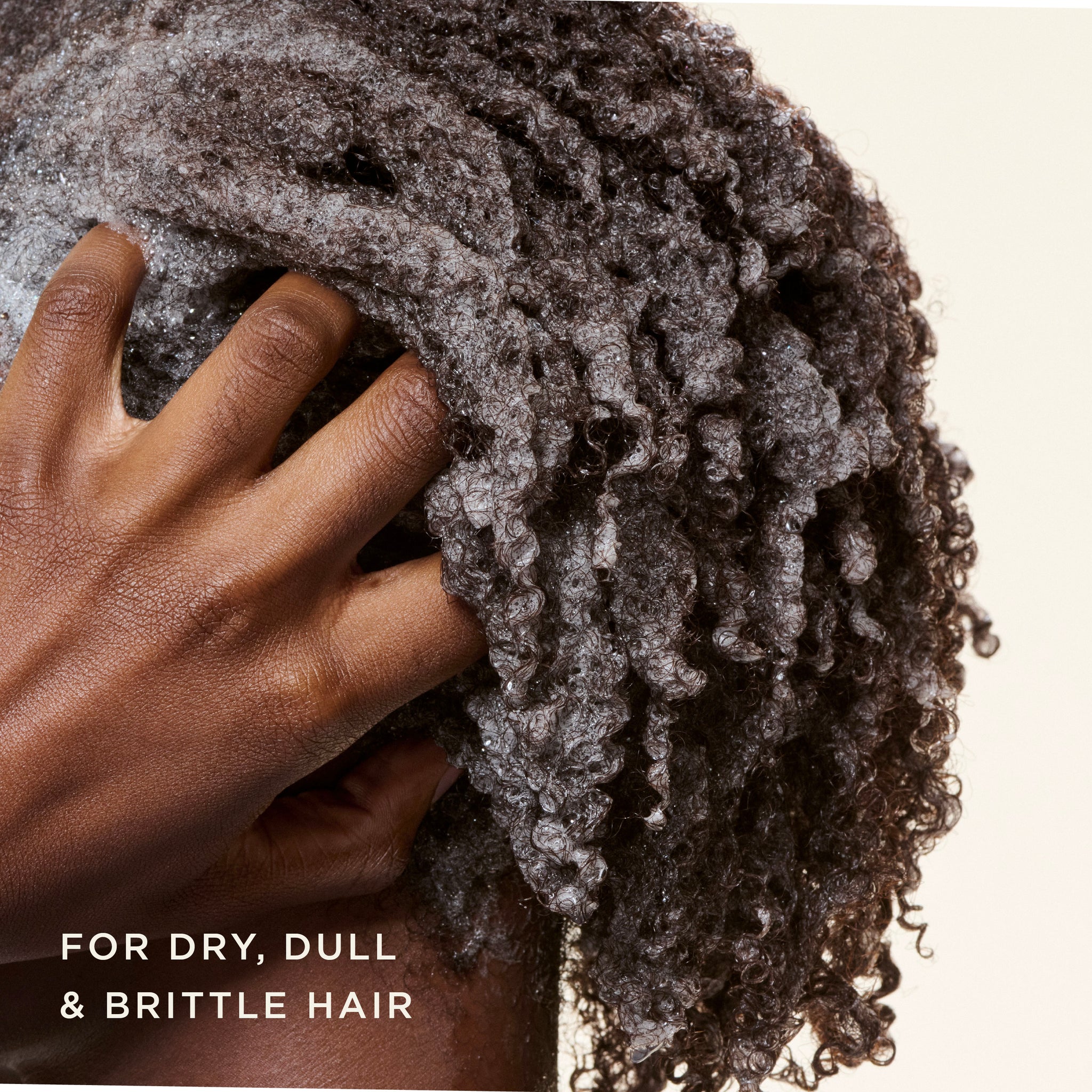 Black Vanilla Moisture & Shine Sulfate Free Shampoo