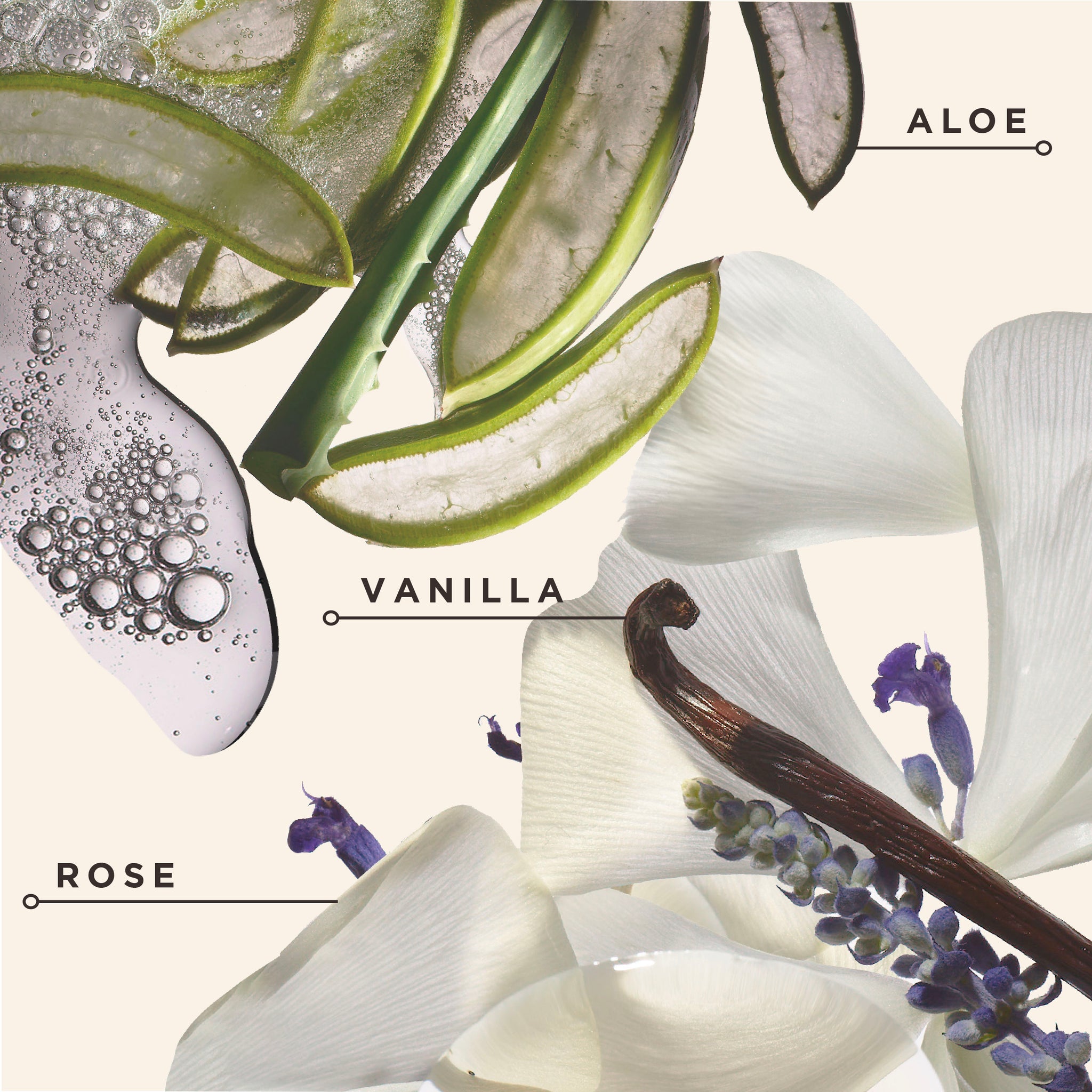 Black Vanilla Moisture & Shine Sulfate Free Shampoo