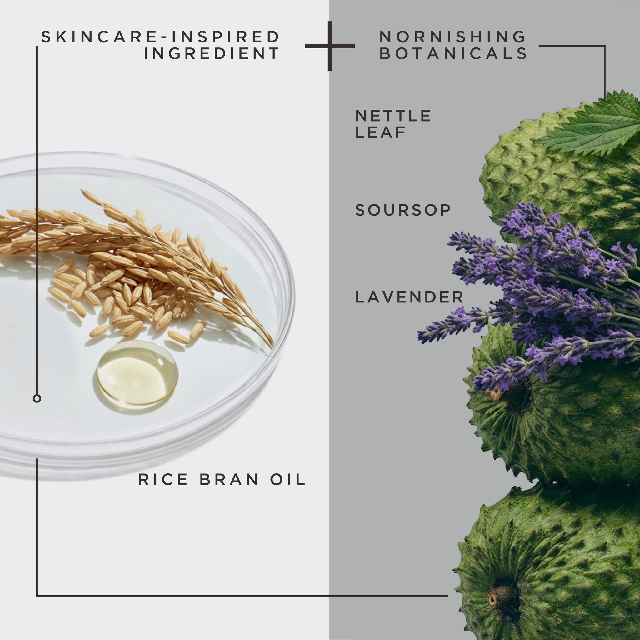 Scalp & Edge Cleansing Oil